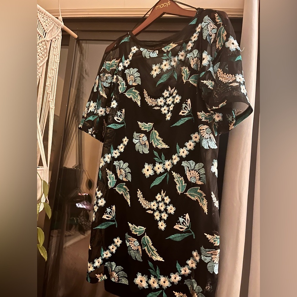 Embroidery and a sheer Zara dress